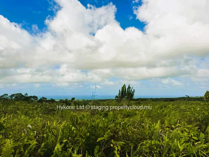 Agricultural Land For Sale In Bois Cheri
