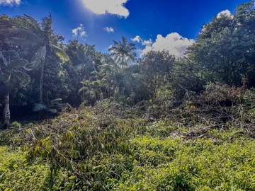 Residential Land