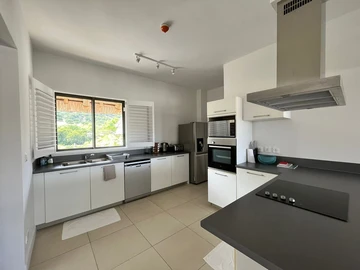 3 Bedroom Penthouse
