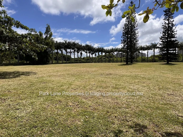 Your perfect 17 m² office: Nature, comfort & convenience in Phoenix