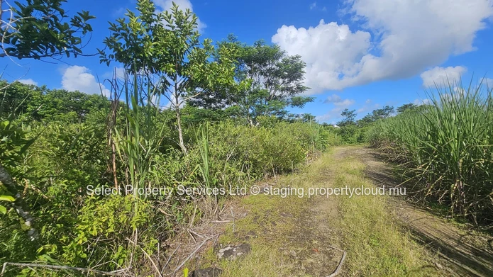 Agricultural Land for Sale - Morcellement - Montagne Blanche