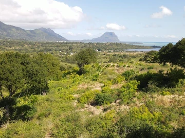 Land