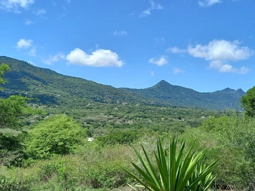 Residential Land