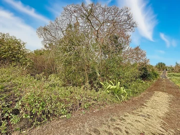 Terrain
