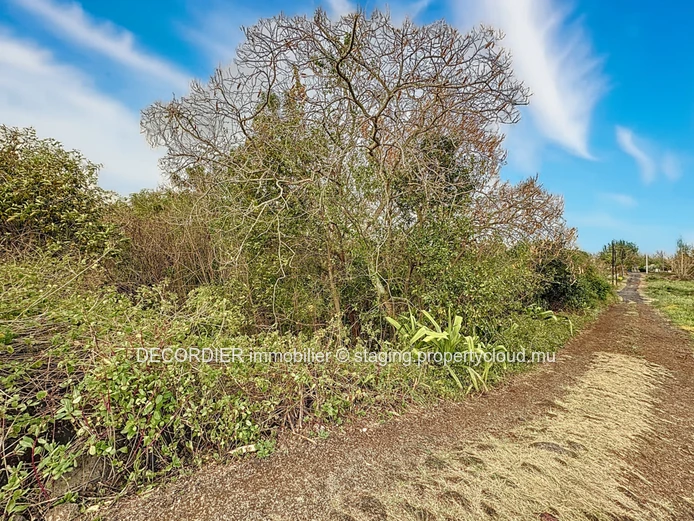 À Vendre Calodyne Terrain Résidentiel