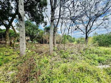 Agricultural Land
