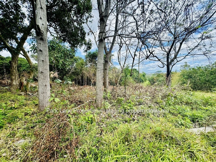 Terrain agricole à vendre à Moka