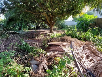 Residential Land