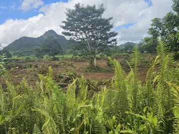 Agricultural Land