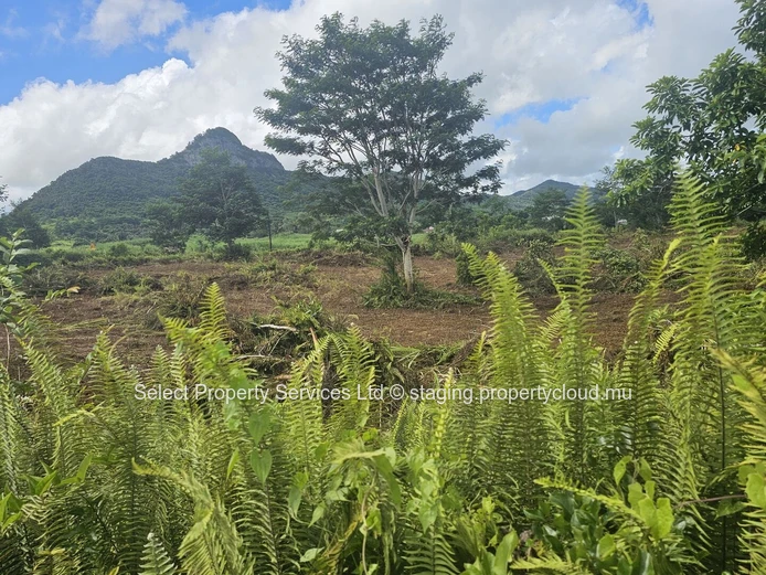 Agricultural Land for Sale - Morcellement - Montagne Blanche