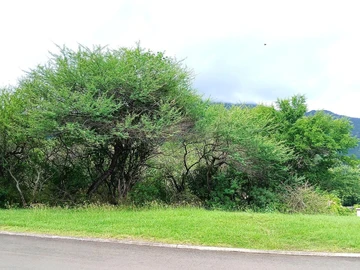 Residential Land