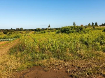 Terrain Agricole