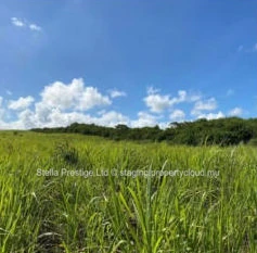 Terrain commercial de premier choix à vendre à Trianon, Vacoas-Phoenix - 1 688m² à Rs