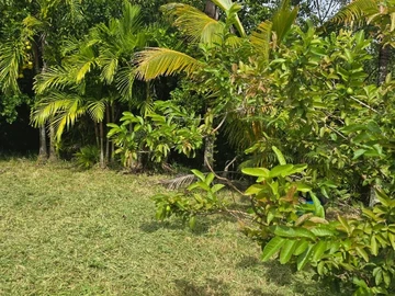 Residential Land
