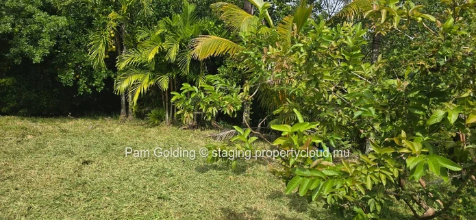 Piton – Land for sale – Pam Golding Mauritius