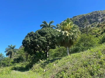 Residential Land