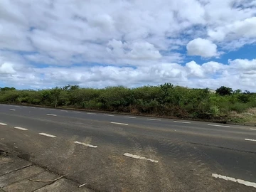 Commercial Land
