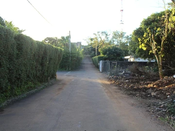 Terrain