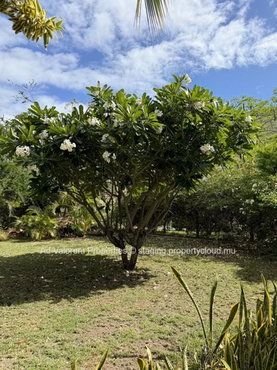 Prime Residential Plot for Sale in Plantation Marguery, Black River