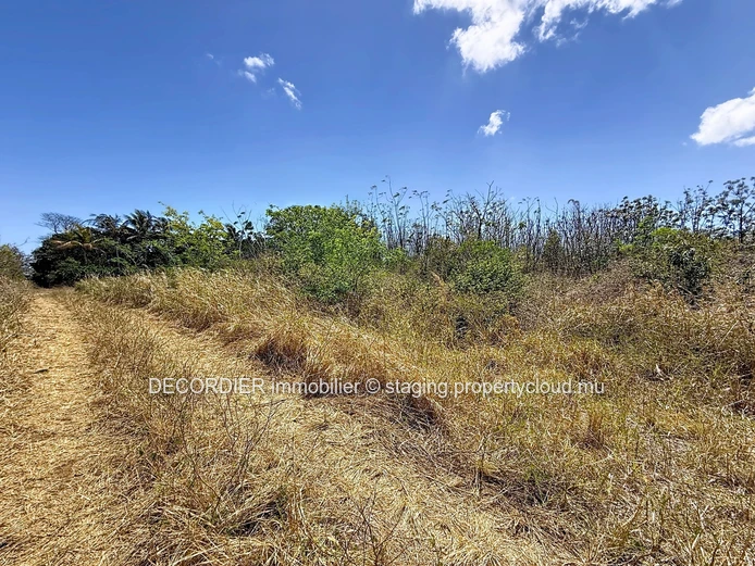 À vendre – Terrain agricole à Grand Baie, La Salette
