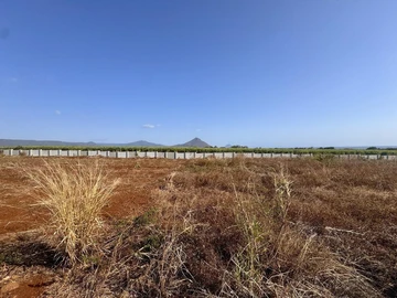 Residential Land