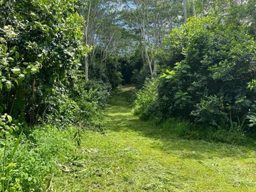 Agricultural Land