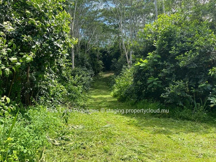 Terrain agricole à Chamarel