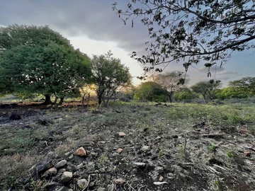Residential Land