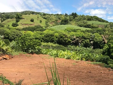 Terrain