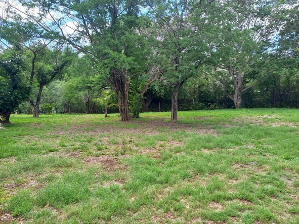 Residential Land