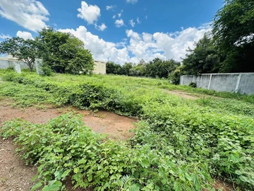 Commercial Land