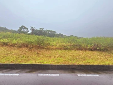 Terrain