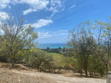 Residential Land