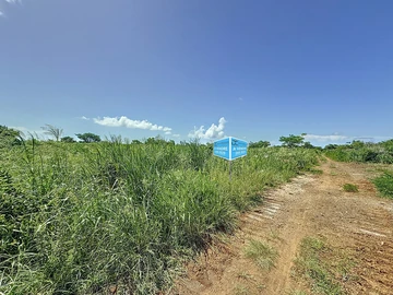 Terrain