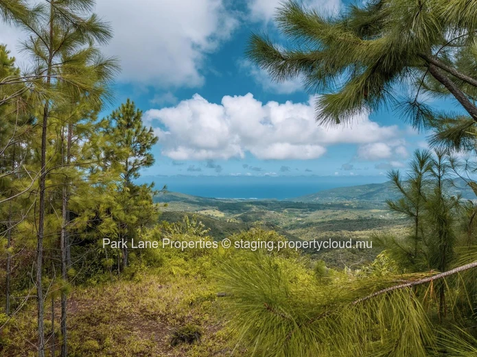 Terrain magnifique et bien entretenu avec vues exceptionnelles
