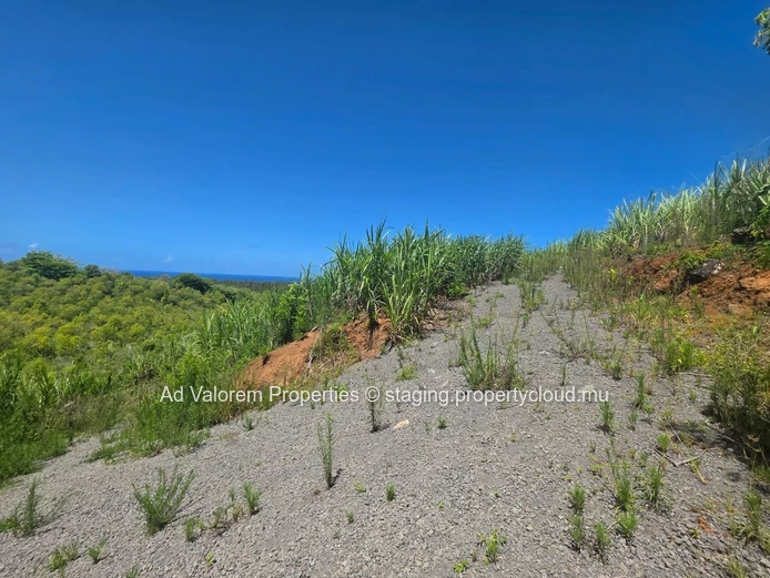 Grand Terrain Agricole à Vendre!