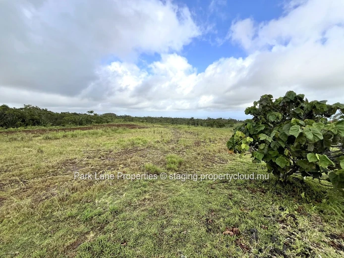 Terrain résidentiel de luxe à vendre à Avalon Golf Estate!
