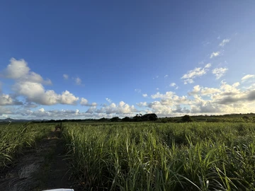 Agricultural Land