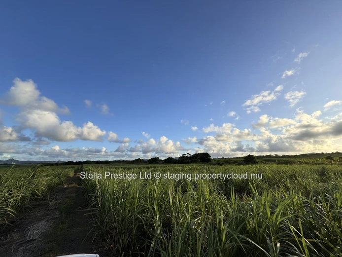 Terrain agricole de 2 110m² à vendre à Mont Ida, Quartier Militaire - Seulement Rs!