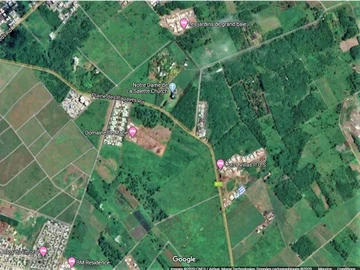 Terrain