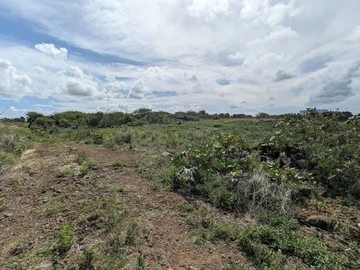 Residential Land