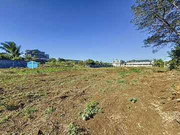 Terrain