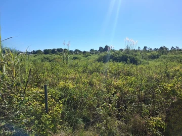 Terrain Agricole