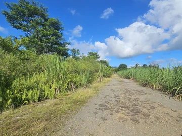Agricultural Land