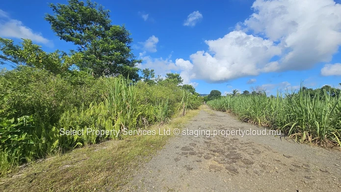 Agricultural Land for Sale - Morcellement - Montagne Blanche
