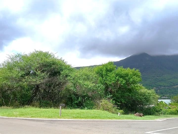 Residential Land