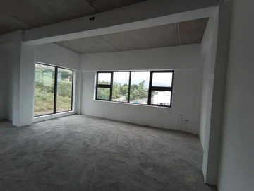 Commercial Property