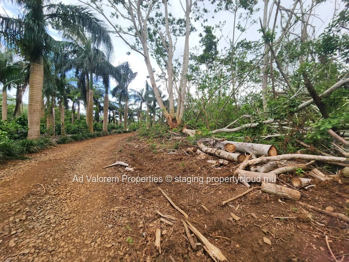Chamarel - Terrain agricole à vendre