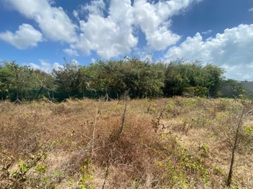Residential Land