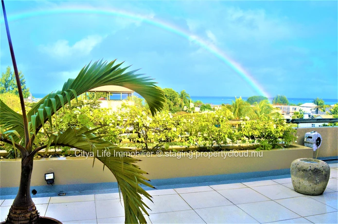 Dream penthouse for sale